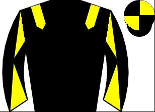 Horse silk