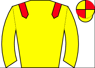 Horse silk