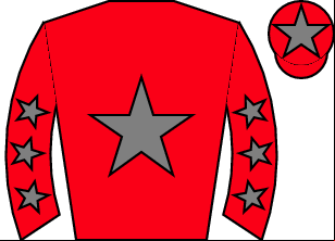 Horse silk