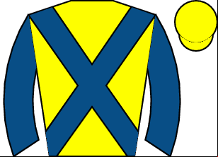 Horse silk