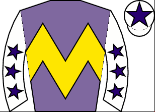 Horse silk
