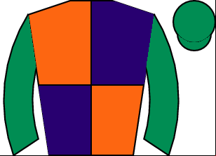Horse silk