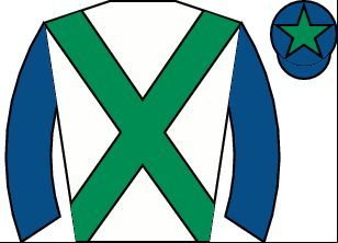 Horse silk