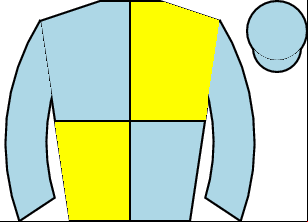 Horse silk