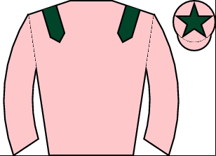 Horse silk