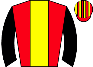Horse silk