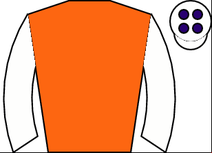 Horse silk