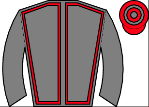 Horse silk