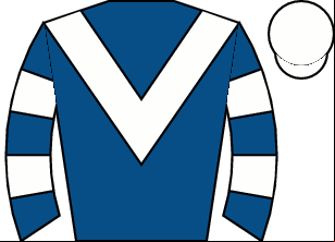 Horse silk