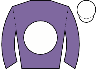 Horse silk