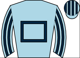 Horse silk