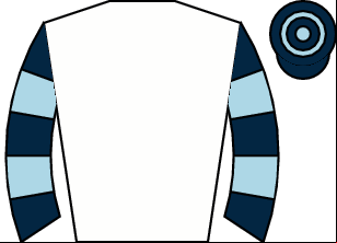 Horse silk
