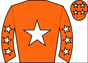Horse silk