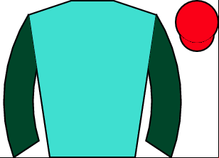 Horse silk