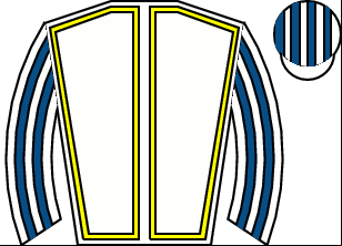 Horse silk
