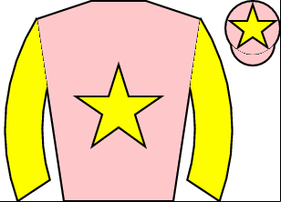 Horse silk