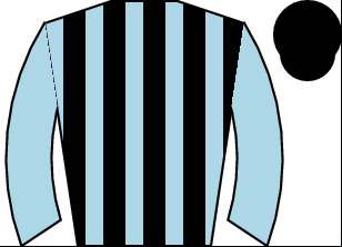 Horse silk