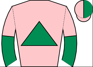Horse silk