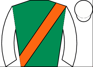 Horse silk