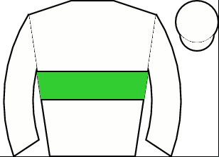 Horse silk