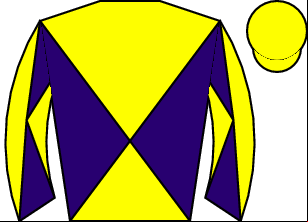 Horse silk