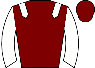 Horse silk