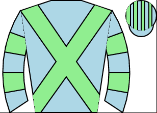 Horse silk