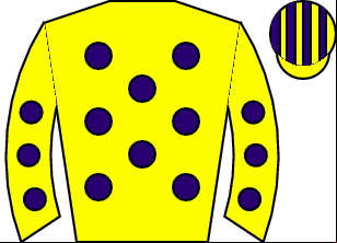 Horse silk