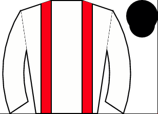 Horse silk