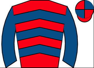 Horse silk