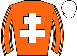 Horse silk