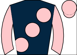 Horse silk