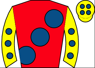 Horse silk