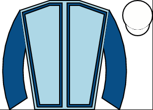 Horse silk
