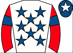 Horse silk