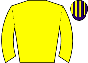 Horse silk
