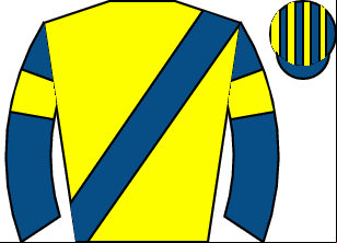 Horse silk
