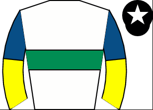 Horse silk