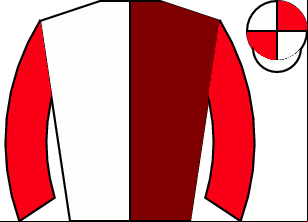Horse silk