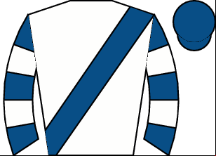 Horse silk