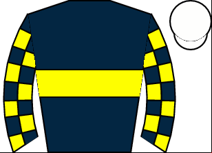 Horse silk