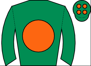 Horse silk