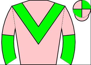 Horse silk