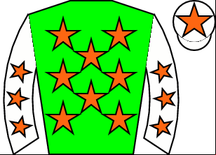 Horse silk