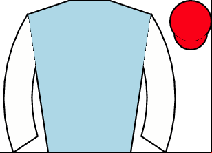 Horse silk