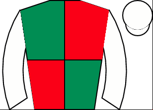 Horse silk