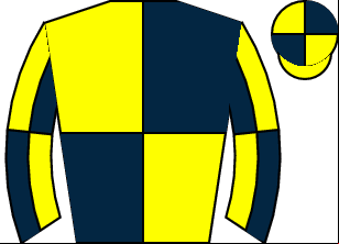 Horse silk