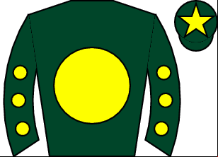 Horse silk