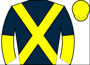 Horse silk
