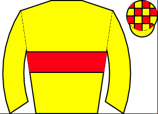Horse silk